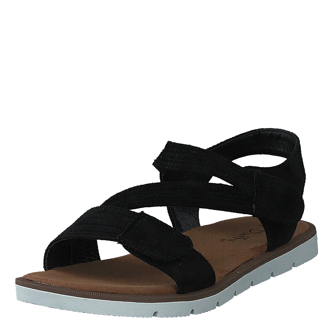 75-99508 Black