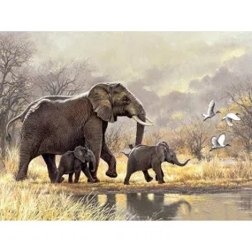 Elephant Family Moving