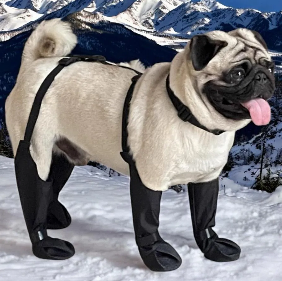 PawGuard French Bulldog Footwear Soft and Stylish Paws Protector