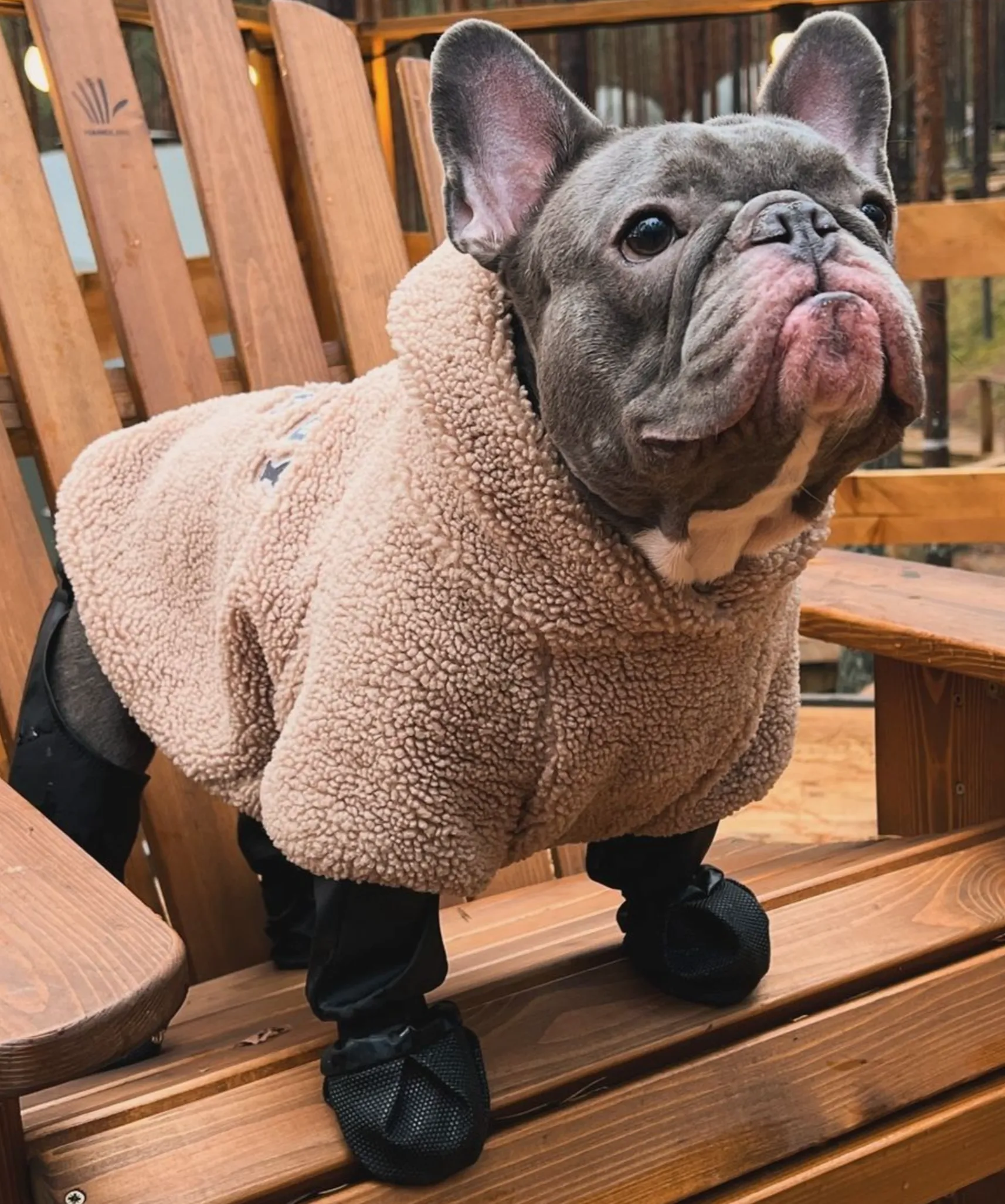 PawGuard French Bulldog Footwear Soft and Stylish Paws Protector