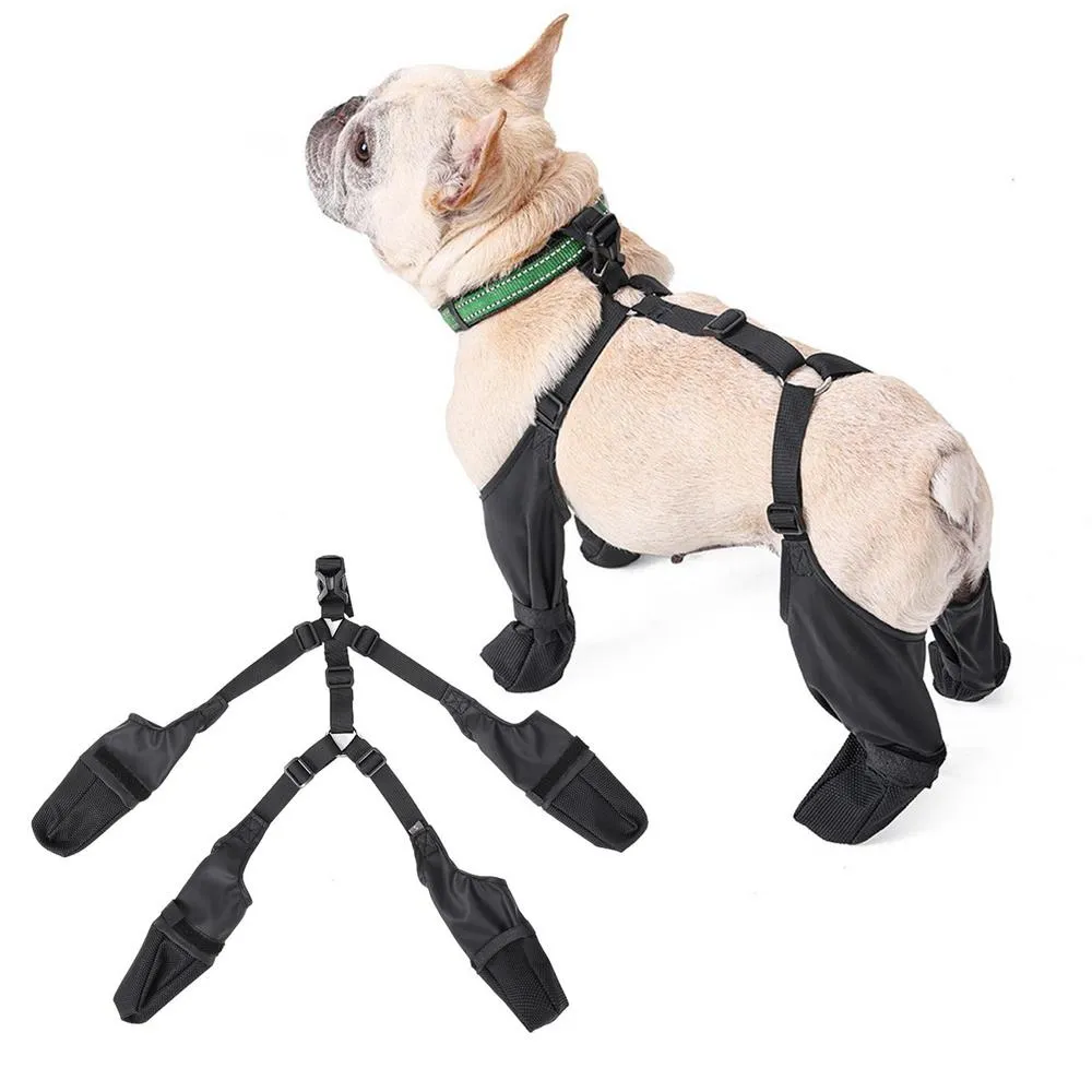 PawGuard French Bulldog Footwear Soft and Stylish Paws Protector